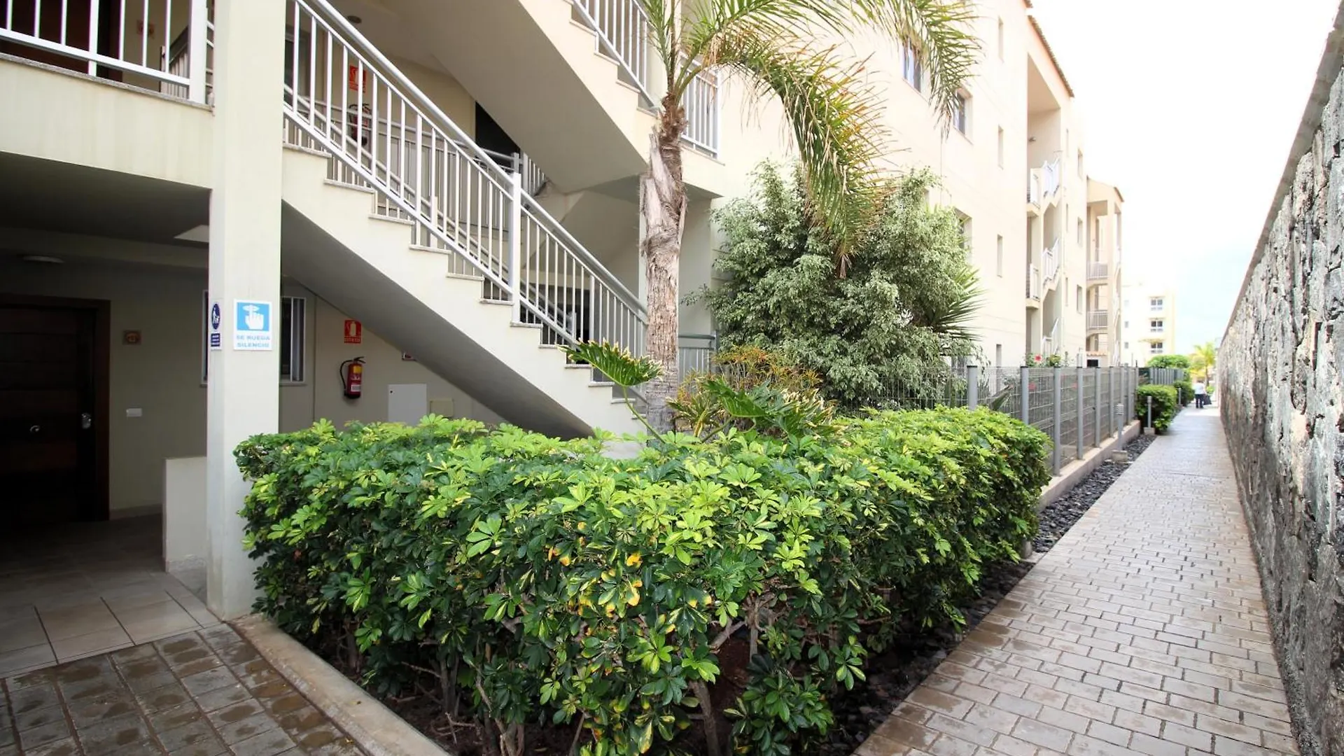 New Sea View Apartment With Terrace In Palm Mar - Arona Palm-mar
